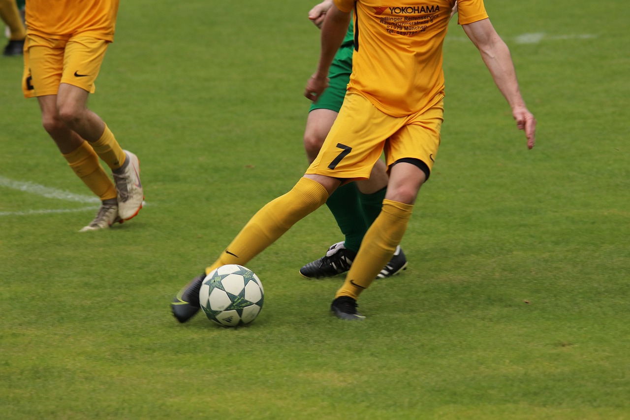 友情敵對 友情敵對